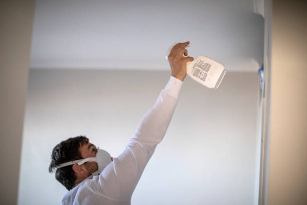 Best Black Mold Remediation in Monticello, WI