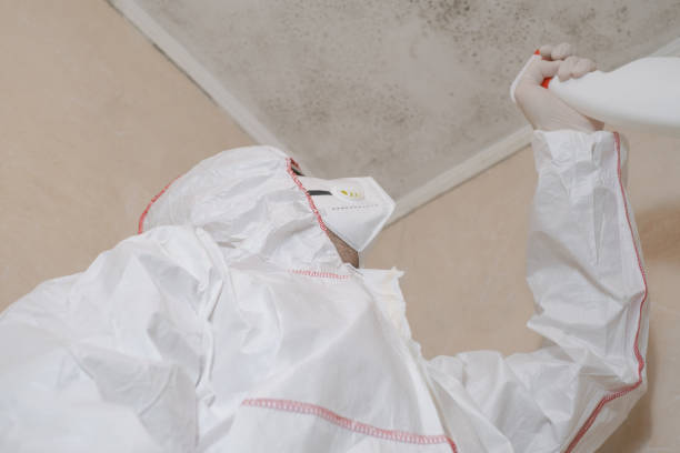Professional Mold Remediation in Monticello, WI